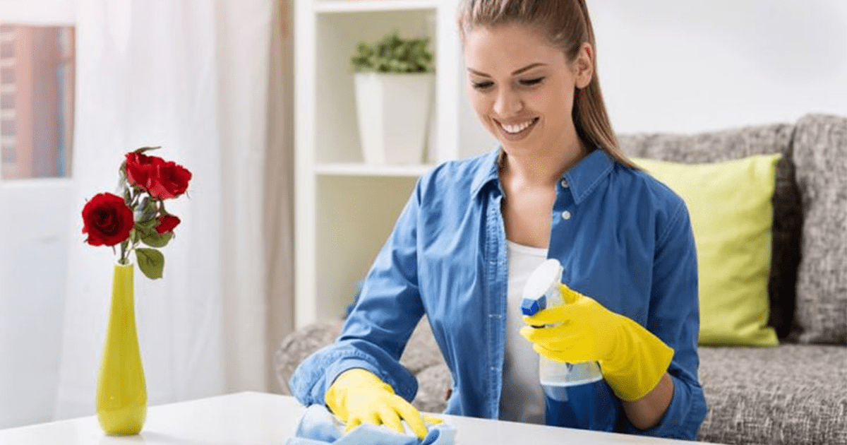 Spring Cleaning Services in Ipswich & Cambridge DeCluttering